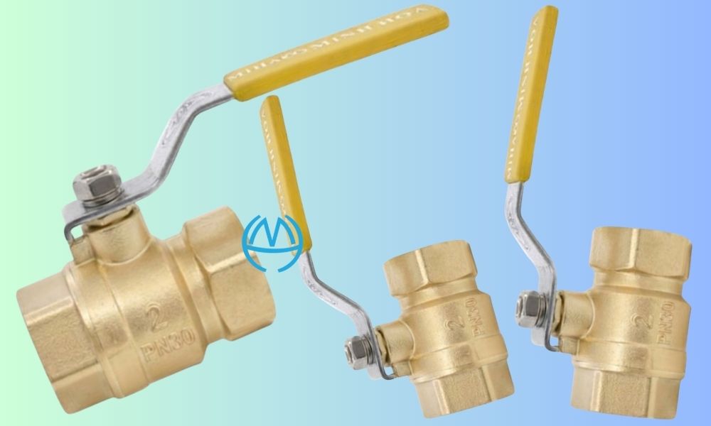 van bi miha pn30 dn50 là gì