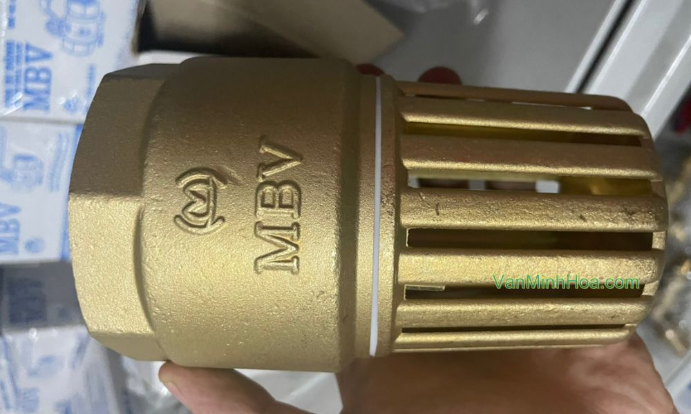 lựa chọn tối ưu của rọ mbv dn80