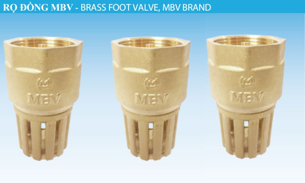 nhận diện thương hiệu của rọ mbv dn65