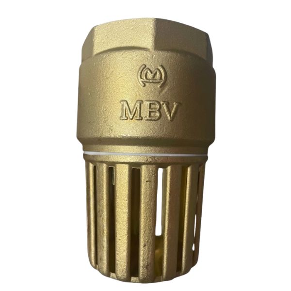 ro-mbv-dn50 rọ mbv dn50