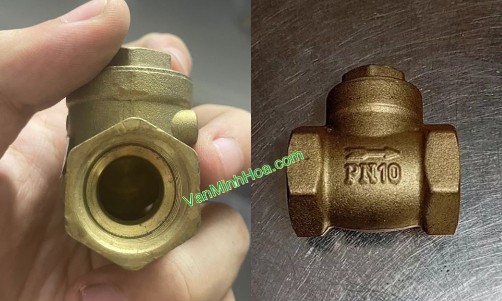 van 1 chiều lá mi dn20 là gì